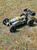 buggy2.jpg